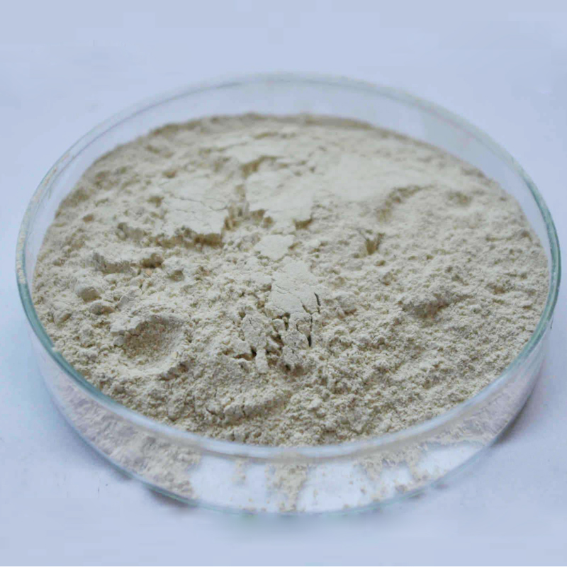 枯草芽孢桿菌-提升土壤免疫性，促進(jìn)植物生長(zhǎng)