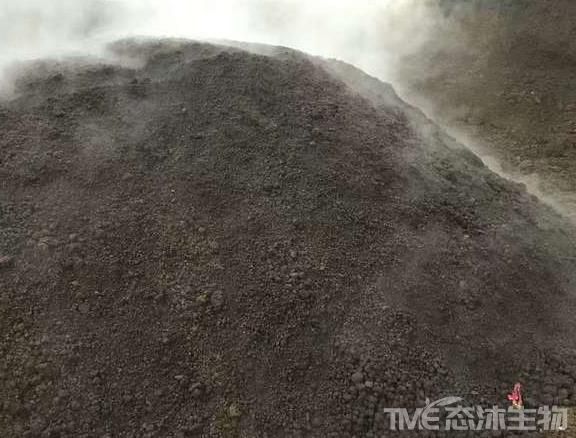 雞糞發酵做有機肥到底需不需要添加輔料？終于有了答案