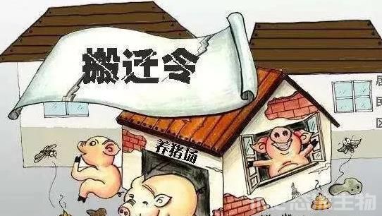 環(huán)保豬場(chǎng)必不可少的“除臭劑”,你知道有哪些嗎?