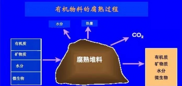 有機肥的有機質含量越高越好？別再花冤枉錢了！