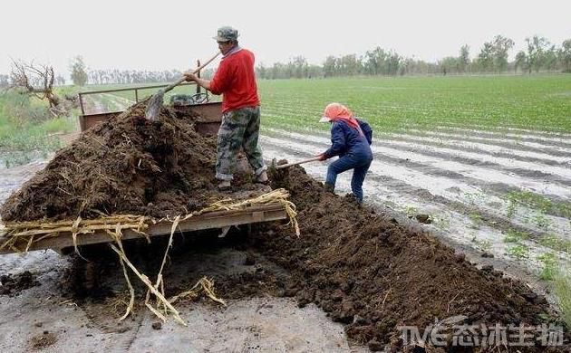 糞與肥 生物有機肥