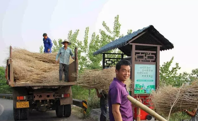 變廢為寶，自貢兩萬噸秸稈變身有機肥